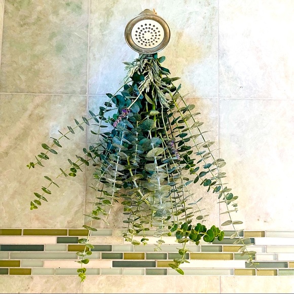 2x Eucalyptus Bundle - Picture 2 of 6